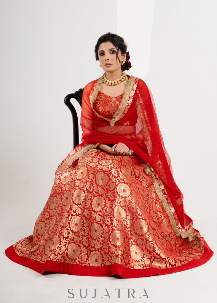 Traditional Red Brocade Lehenga with Brocade Blouse & Net dupatta