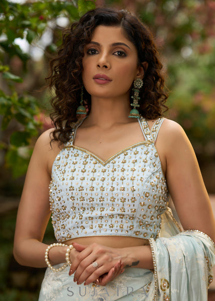 Exclusive ice blue mul cotton overall embroidered blouse
