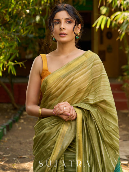 Striped Olive cotton Saree with Lustrous Golden Border