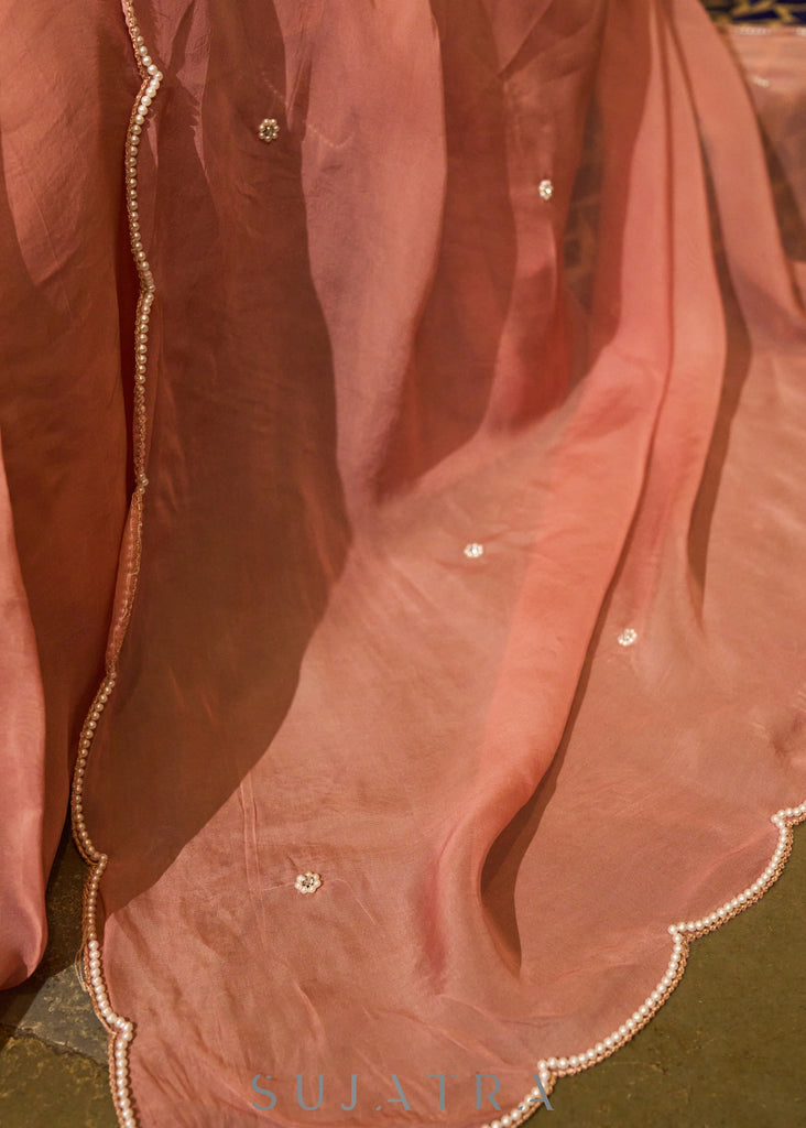 Luscious peach organza saree with beautiful floral hand embroidey and overall scallops