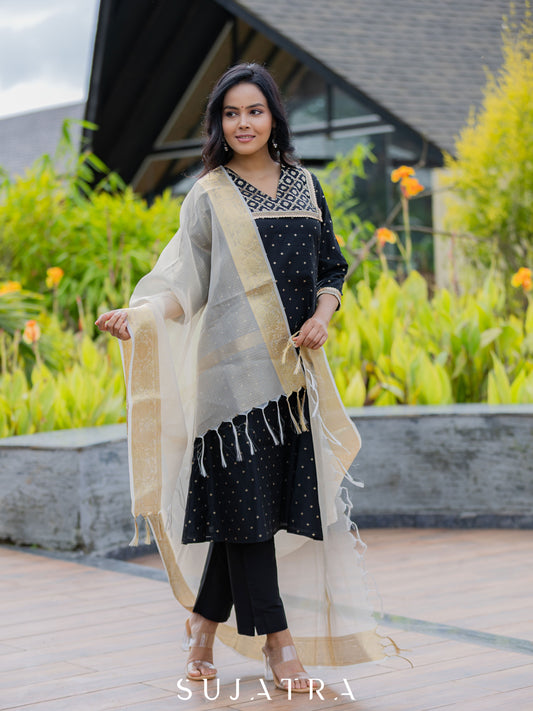 Varnika Chanderi Silk Embellished Kurta