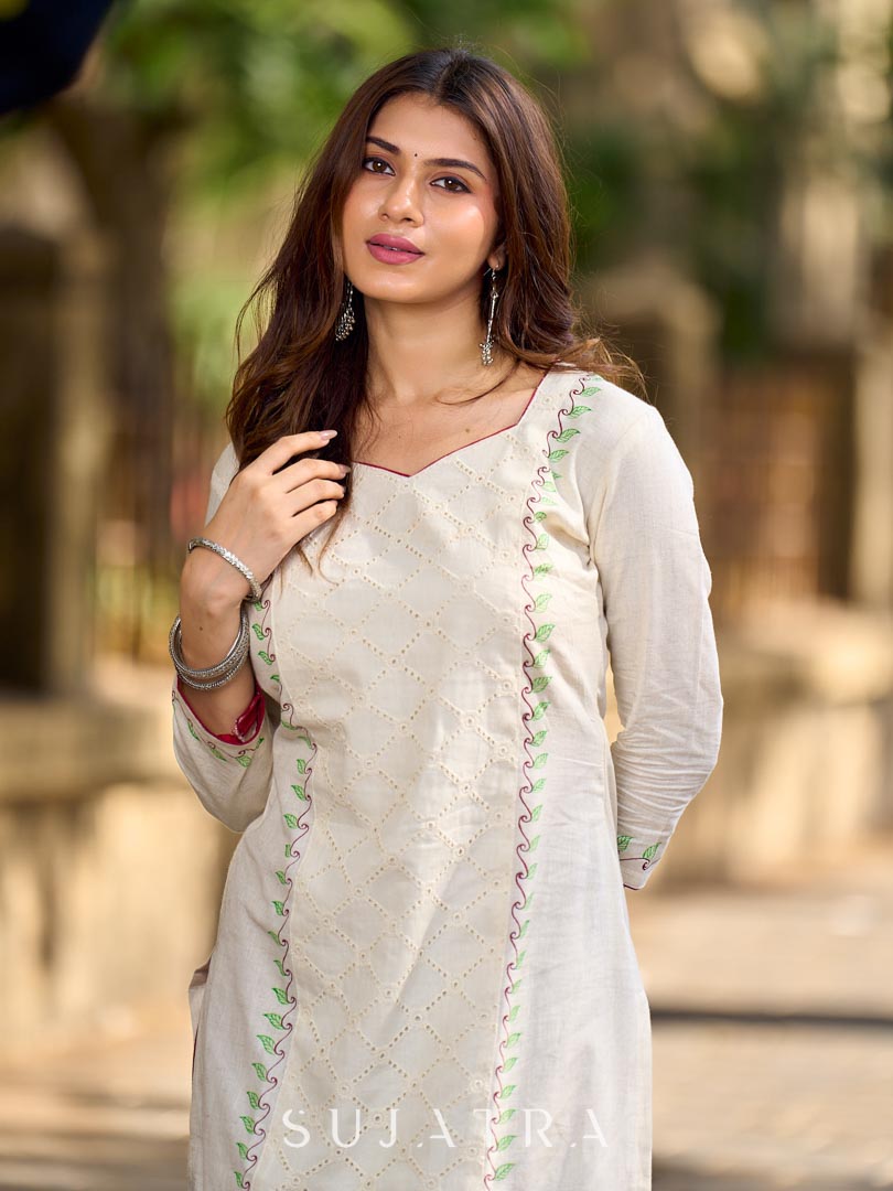 Simple White Cotton Kurta with Hakoba Panel & Hand Painted Border